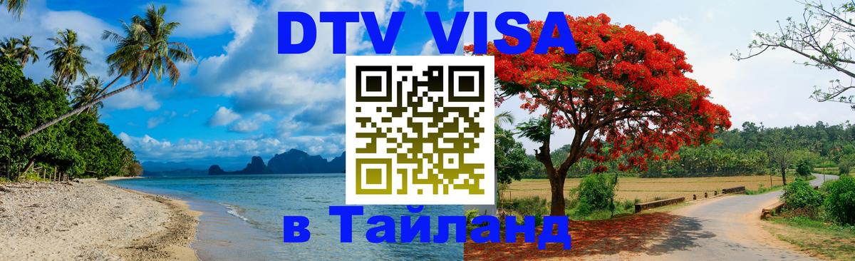Оформление DTV визы под ключ: стоимость и тарифы, только загранпаспорт - 
